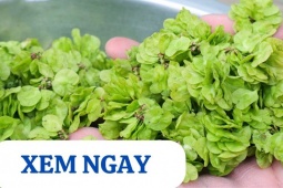 Tin tức sức khỏe - 5 loại rau củ được người xưa ví là “thần dược” cho xương khớp mùa mưa bão