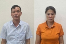 Giám đốc lâm trường bị bắt vì khai thác gỗ trái phép