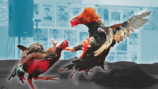Trò đá gà được hợp pháp hóa ở Philippines. Ảnh: Explain Phillippines