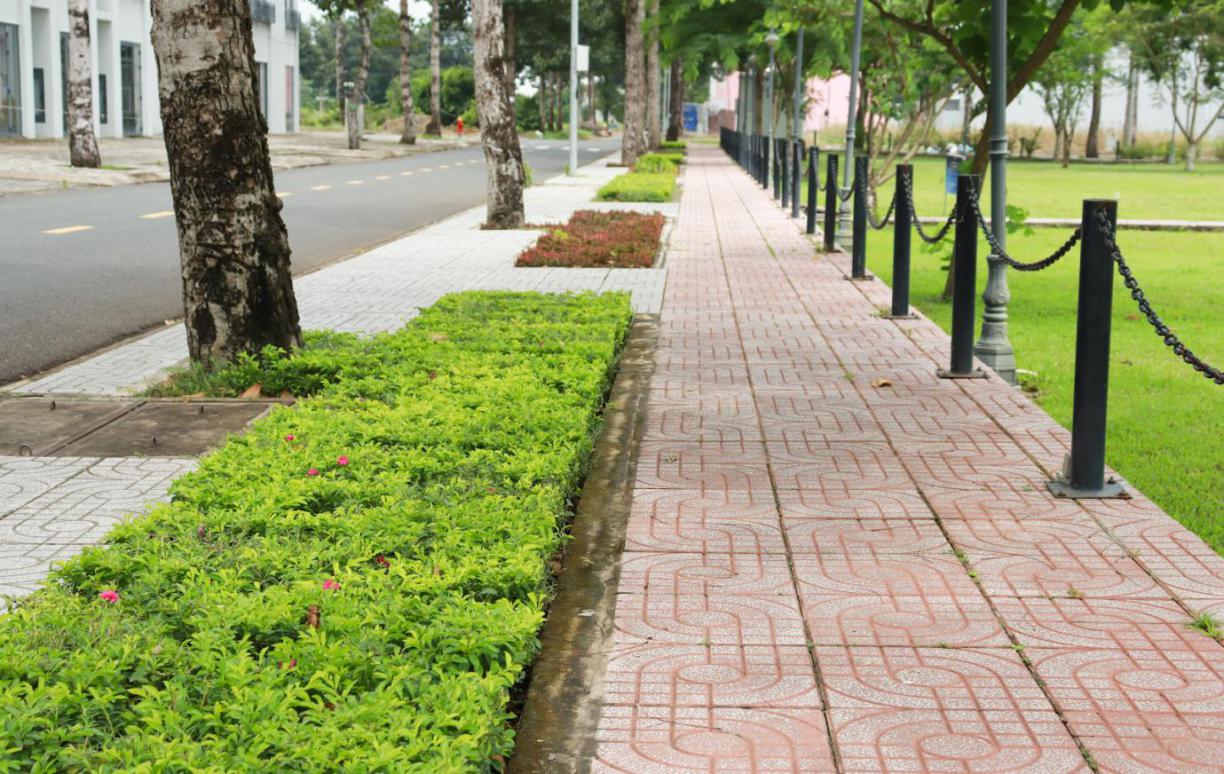 Hai tầng mảng xanh trong đô thị sân bay ở Cần Thơ - 10