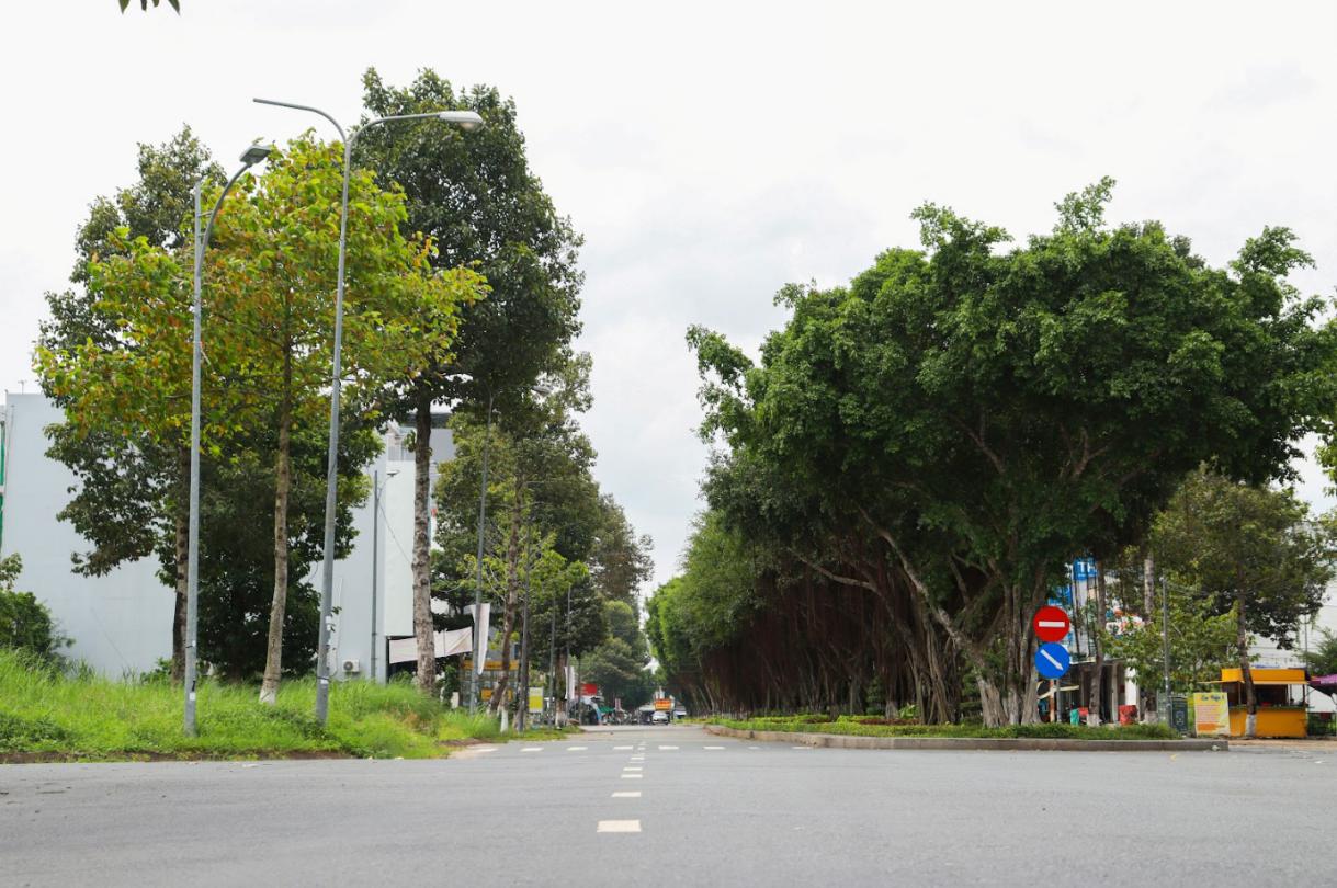 Hai tầng mảng xanh trong đô thị sân bay ở Cần Thơ - 3