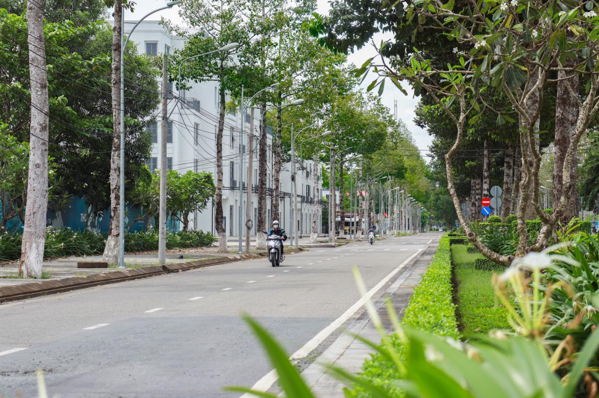 Hàng cây sao tỏa bóng mát dọc đường Lạc Long Quân trong KITA Airport City