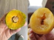 Mận Trung Quốc đang "làm mưa làm gió" ở chợ Việt có giá thế nào ở chính đất nước tỷ dân?