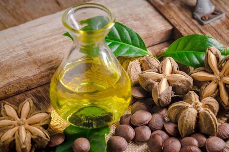 Loại hạt đắt đỏ bậc nhất thế giới, không ngờ có đầy ở Việt Nam - 3