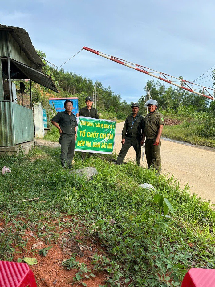 Cả ngàn người ở Đà Nẵng vào rừng nhặt thứ hạt rơi từ trên trời xuống, thu tiền triệu - 13