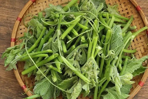 Rau bí cực dễ tìm ở chợ Việt lại giàu dinh dưỡng tốt cho sức khỏe. Ảnh: Cleanipedia