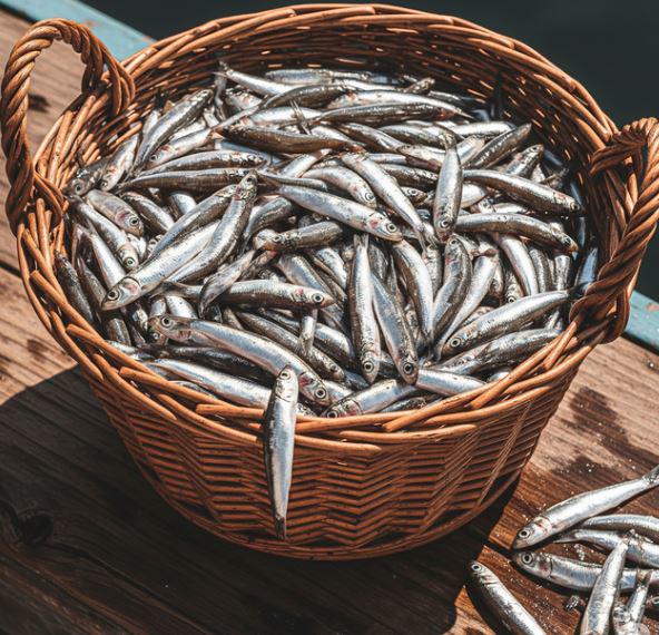 Loại cá giàu canxi hơn cá hồi, ở chợ Việt vừa nhiều vừa rẻ - 2