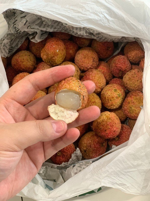 Phủ thêm một lớp báo lên trên cùng, đậy kín hộp rồi bảo quản trong ngăn mát tủ lạnh. Khi nào ăn, mở ra, lấy vải rồi lại đậy kín báo lên là xong.