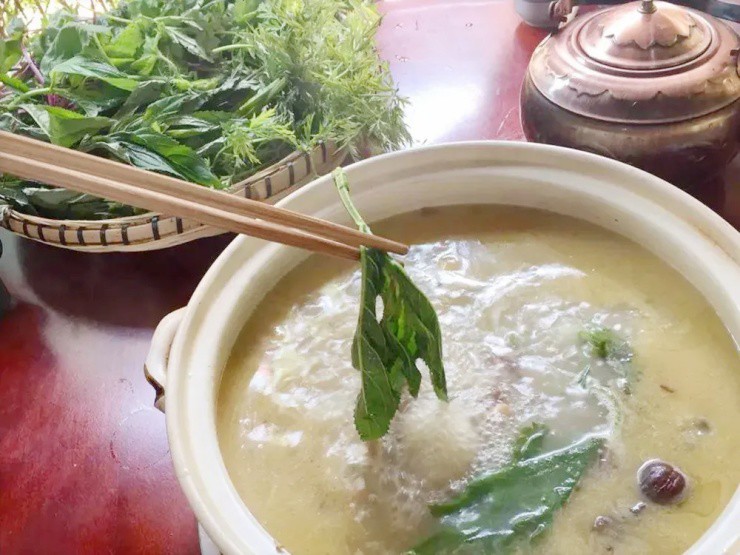 Việt Nam có giống cây chạm vào là ngứa, dân khéo biến hóa thành “mỏ tiền” - 4