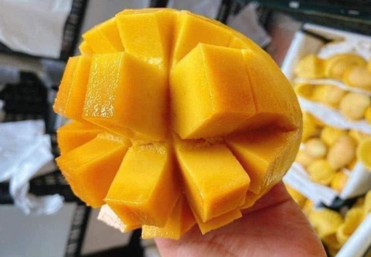 Xoài chứa nhiều đường, không tốt cho người bệnh đái tháo đường. Ảnh: Ly Quỳnh.