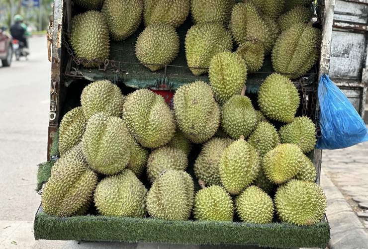 Tại Hà Nội, sầu riêng được bày bán la liệt trên các vỉa hè. Ảnh: Tâm An