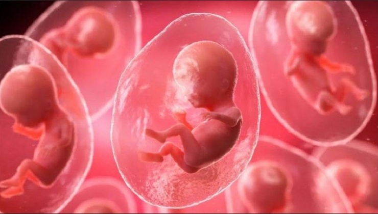 41 ca điều trị thử nghiệm trong nghiên cứu của Conceivable Life Sciences và 18 đứa trẻ đã chào đời.