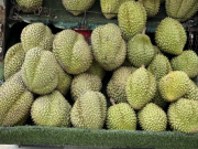 Thị trường - Tiêu dùng - Lần đầu tiên trong 4 năm, dân thoải mái ăn sầu riêng với giá rẻ khó tin