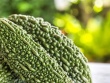 Loại quả có thể ngăn ngừa ung thư và kiểm soát đường huyết