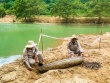 Nạo vét sông, phát hiện quả bom cách cửa động Phong Nha 200 m