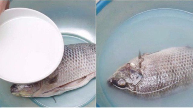 Khi nấu cơm bạn khoan hãy bỏ đi phần nước vo gạo vì nó có rất nhiều công dụng, một trong số đó là khử mùi tanh của cá.