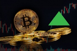 Tăng như vũ bão, lập kỉ lục mới, ai đang đổ tiền vào Bitcoin?