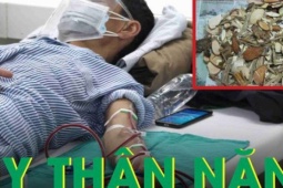 Tự ý dùng thuốc Nam, người đàn ông suy thận nặng, phải lọc máu cấp cứu