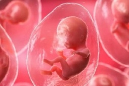Em bé đầu tiên trên thế giới được thụ thai nhờ… AI