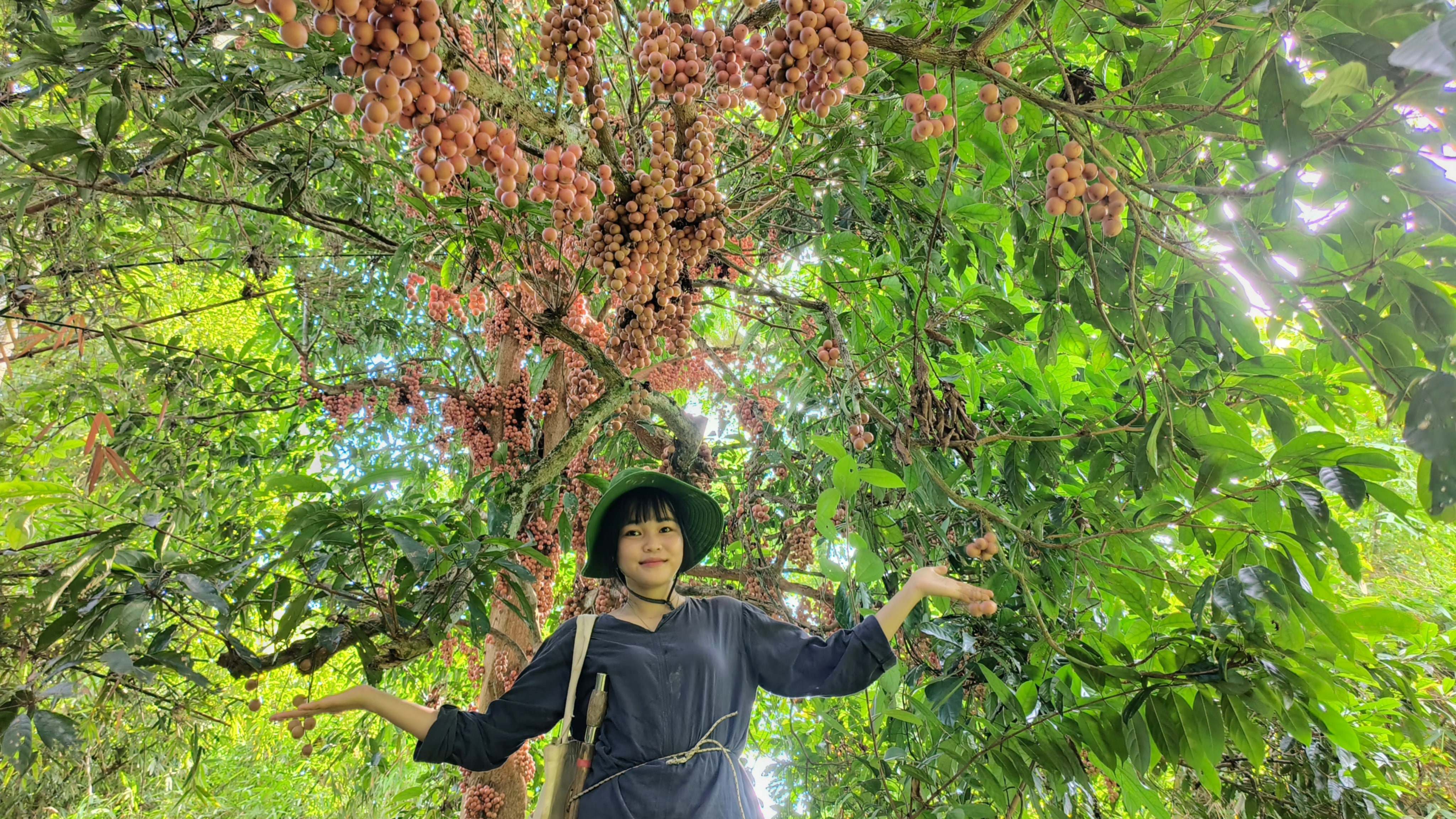 Vì ở tít trọng rừng sâu, việc di chuyển để hái quả rất vất vả.&nbsp;(Ảnh: Lê Thị Thuỷ)
