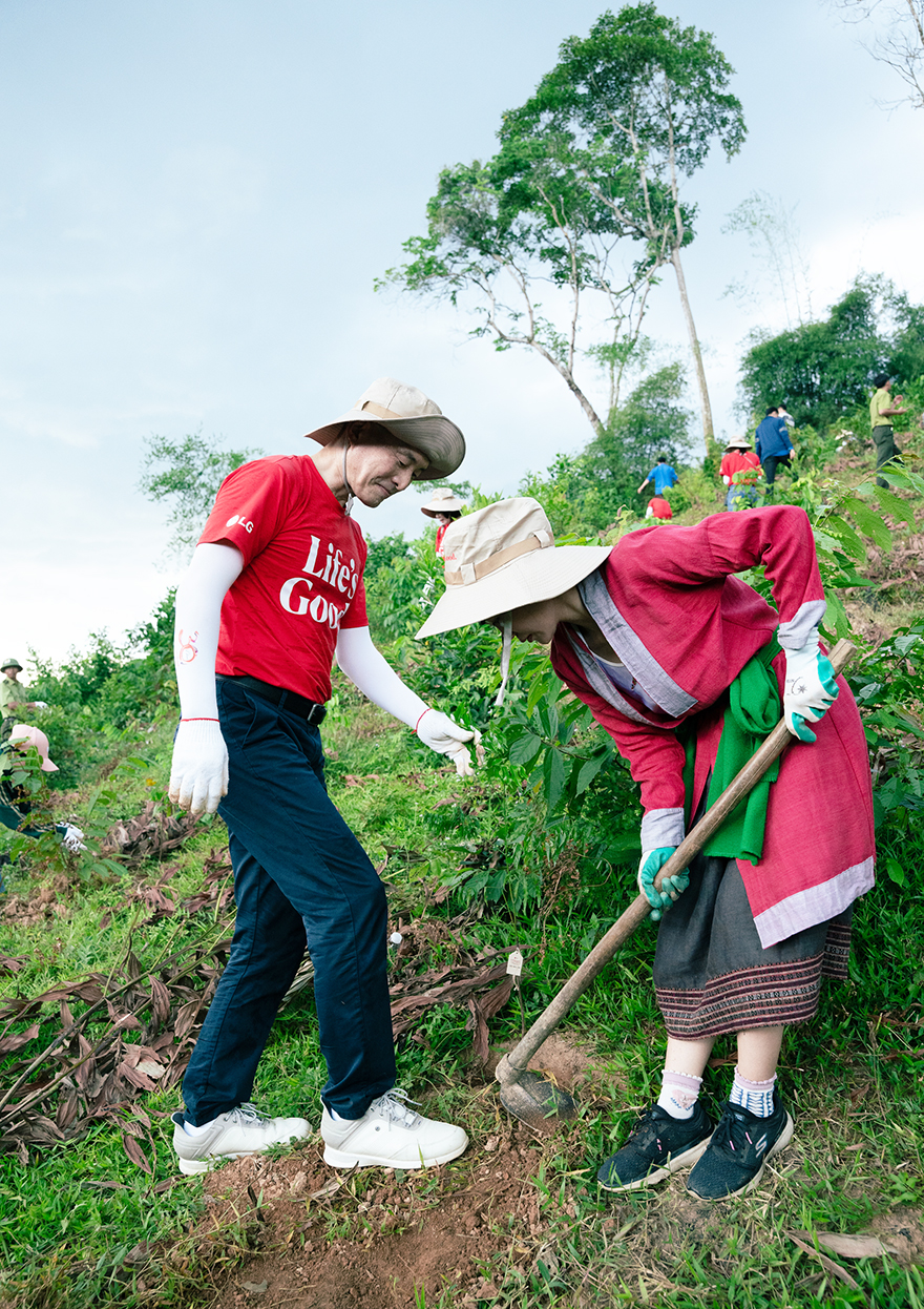Cây Lim xanh, biểu tượng của rừng Thanh Hóa, đóng vai trò quan trọng trong chống xói mòn, điều hòa khí hậu, giữ nước và lưu giữ carbon.