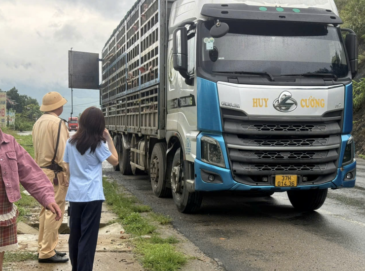Cơ quan chức năng phát hiện xe tải chở lợn không rõ nguồn gốc, trong đó có lợn nhiễm virus Dịch tả lợn châu Phi. Ảnh: QLTT
