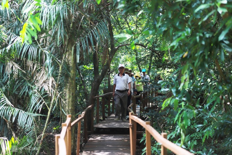Suối xanh như ngọc trong lòng di sản Phong Nha - Kẻ Bàng - 6