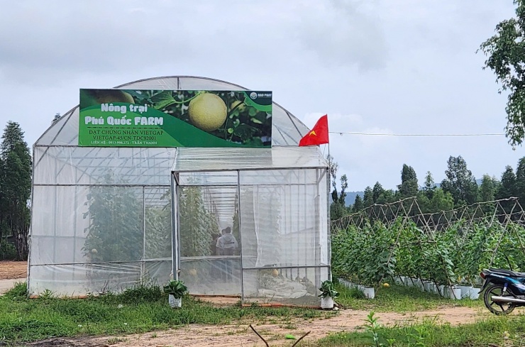 Đến Phú Quốc khám phá cung đường Dương Đông – Rạch Vẹm - 8