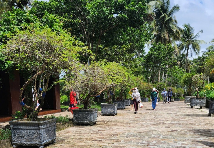 Lạc vào cảnh quan thiên nhiên tuyệt vời tại suối Tranh trên đảo ngọc Phú Quốc - 3