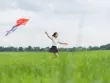 Check-in thảo nguyên Trị An đẹp như tranh mùa nước cạn