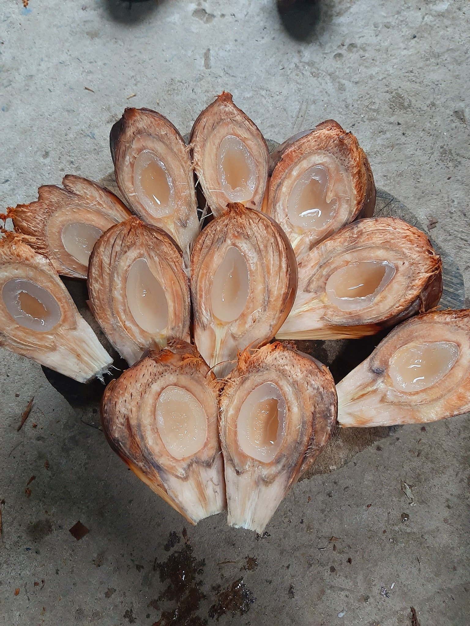 Từng trái dừa nước được bổ đôi để lấy cơm. Ảnh: Hiep Nguyen