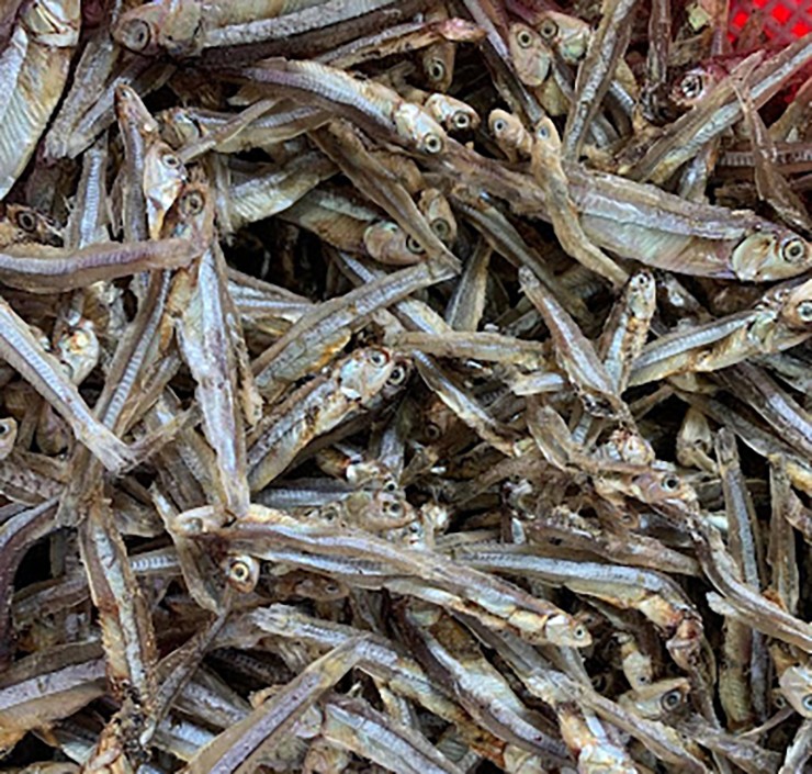 Cá cơm tươi có kích thước nhỏ, chiều dài từ 5–7 cm, toàn thân ánh bạc, nhìn rất bắt mắt.
