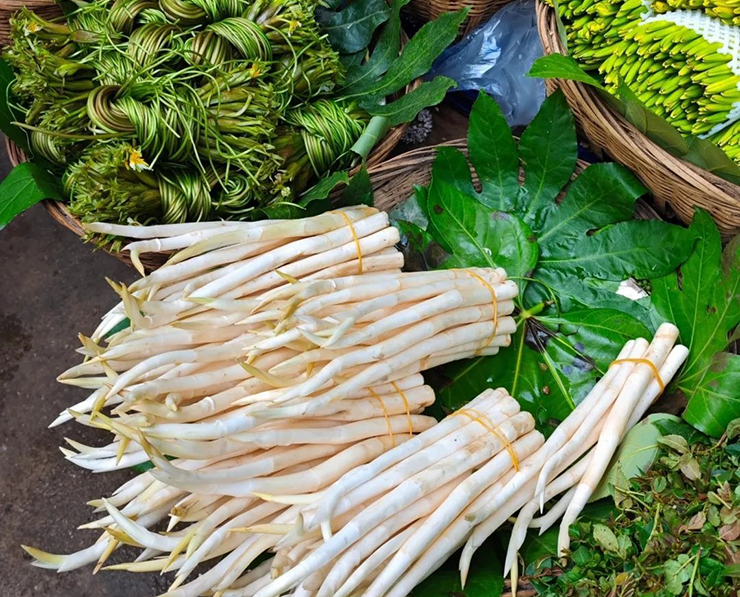 Ở Vân Nam, có thể dễ dàng bắt gặp rau ngà voi được bày bán trong các sạp rau ở chợ với giá chỉ khoảng 15-30 tệ/kg (50-100.000 đồng). Tuy nhiên, khi chuyển tới nơi khác, rau ngà voi có thể lên tới 40-60 tệ/kg (145-200.000 đồng).
