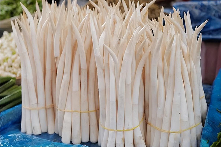 Loại củ này còn có công dụng tăng cường trí nhớ, làm sáng mắt và hạ huyết áp. Phụ nữ ăn thường xuyên có thể giúp giảm eo, da dẻ cũng mịn màng hơn.
