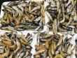 3 loại cá nhỏ là "kho dinh dưỡng", chỉ vài chục nghìn đồng/kg, ở chợ bán đầy
