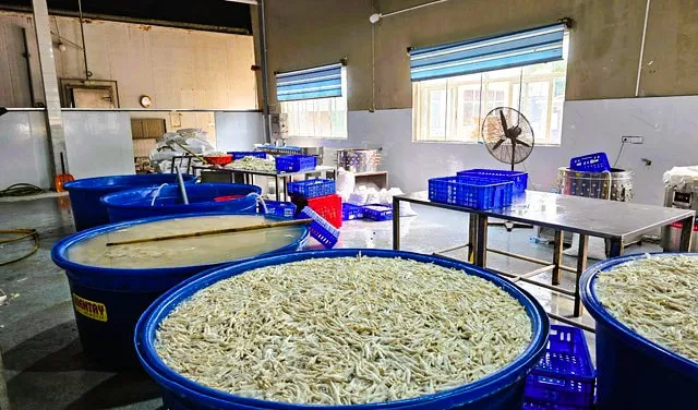 6,9 tấn chân gà đông lạnh đang được tẩy trắng bằng hóa chất Interox ST 50 (H2O2) tại một kho lạnh vừa bị lực lượng chức năng tỉnh Thanh Hóa phát hiện. Ảnh: DMS