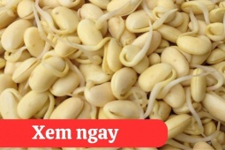 Tin tức sức khỏe - “Tái sinh” khớp gối với 2 món ăn được người xưa ví là “thần dược” phục hồi xương khớp 