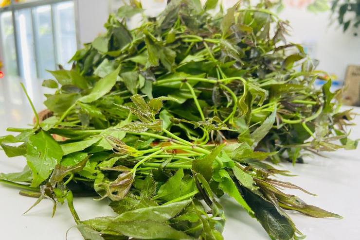 Ở vùng cao, rau này có giá 40.000-50.000 đồng/kg. Ảnh: Đa Nhim Farm