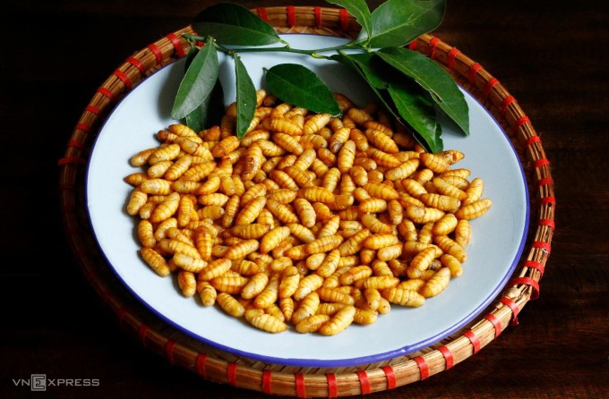 Nhộng tằm ngon có các đặc điểm kích thước nhỏ, màu vàng, sáng bóng, các đốt trên thân liền nhau. Ảnh: Bùi Thủy