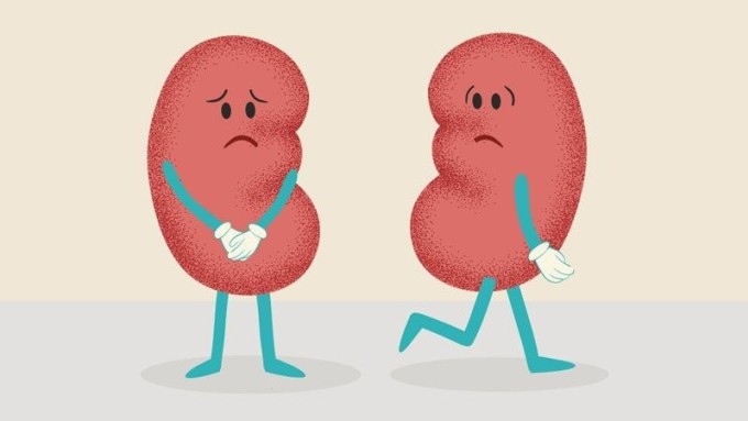 Một bữa sáng lành mạnh không chỉ giúp bảo vệ thận mà còn khởi đầu cho một ngày mới tràn đầy năng lượng, đặc biệt đối với những người đang sống chung với bệnh thận mạn tính.