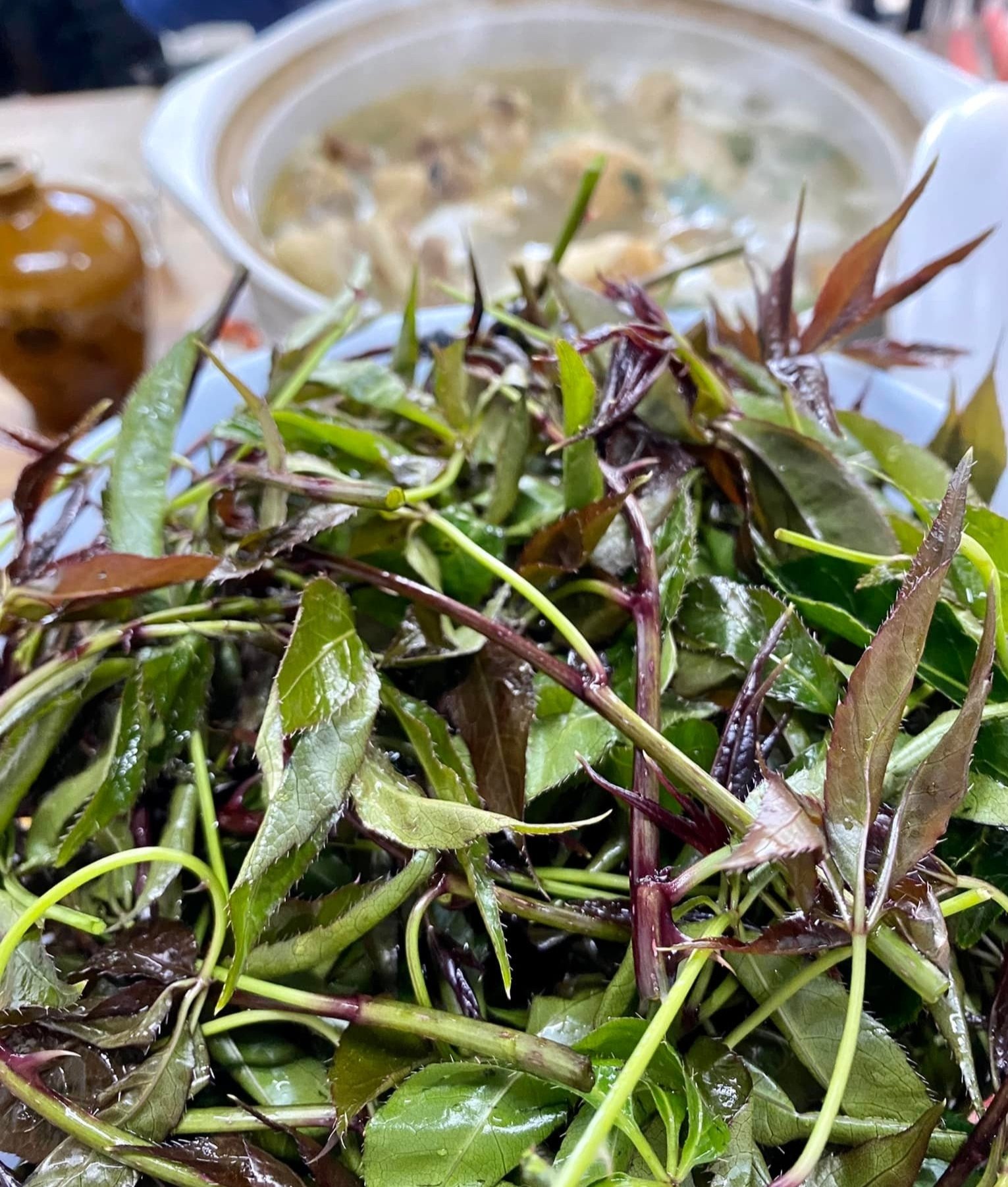 Rau ngũ bì hương ngày càng được ưa chuộng, xuất hiện trong thực đơn của nhiều nhà hàng, quán ăn địa phương. Ảnh: Mai Quang Văn