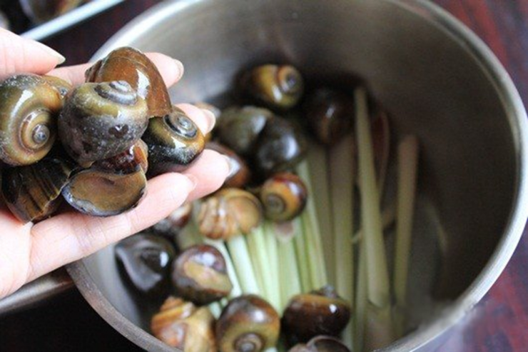 Luộc ốc phải nhớ ngay những điều này, ốc vừa sạch lại ngon giòn "chuẩn" vị nhà hàng - 1