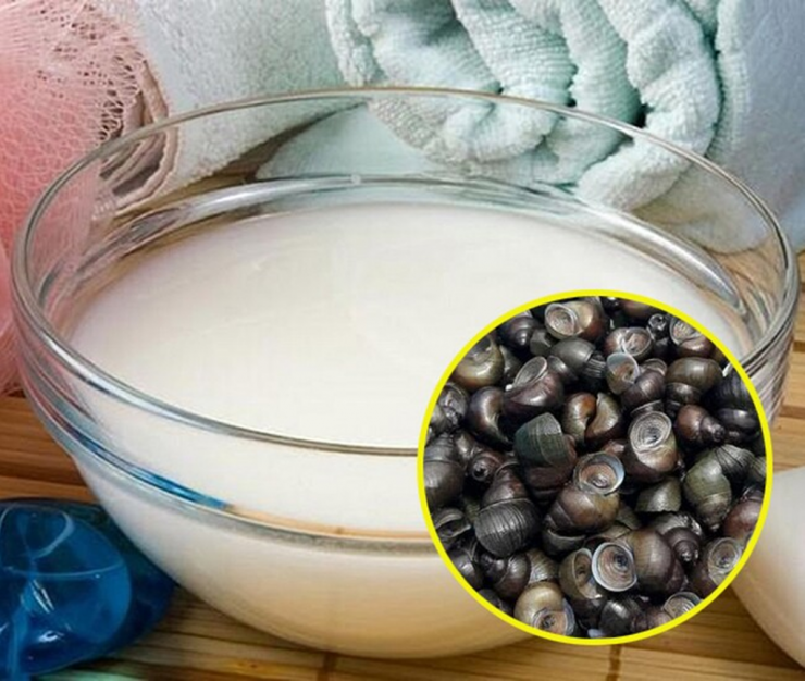 Luộc ốc phải nhớ ngay những điều này, ốc vừa sạch lại ngon giòn "chuẩn" vị nhà hàng - 2