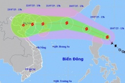 Cơn bão Wipha dự báo có đường đi khá giống siêu bão Yagi