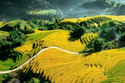 Tả Van, Sa Pa nằm trong 6 ngôi làng đẹp nhất châu Á