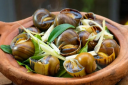 Luộc ốc phải nhớ ngay những điều này, ốc vừa sạch lại ngon giòn  " chuẩn "  vị nhà hàng