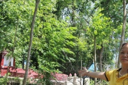 Mất tiền tỷ chuyển đất vườn sang đất ở: Mức thu cần linh hoạt, không quy định  cứng 