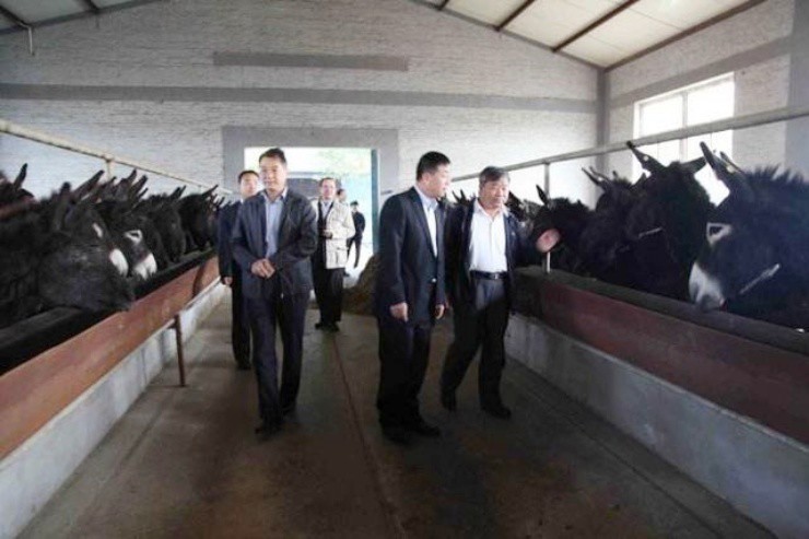 16 tuổi làm công nhân, nay kiếm hàng nghìn tỷ nhờ đưa “cống phẩm cổ đại” tái xuất thị trường - 5