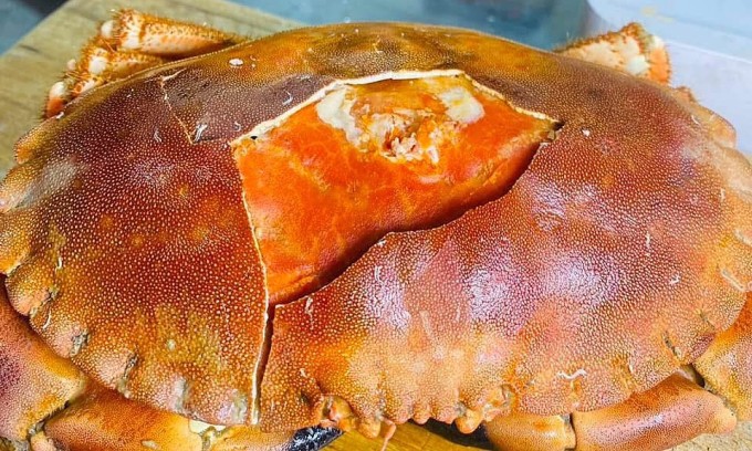 Cua siêu gạch Nauy được bán tại các cửa hàng ở TP HCM. Ảnh: Nhân vật cung cấp