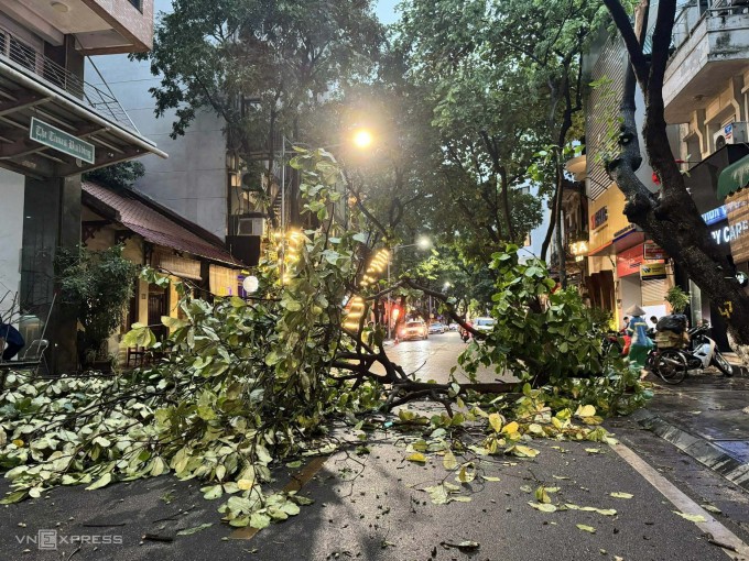Cây bàng trên đường Triệt Việt Vương, quận Hai Bà Trưng cũ, bị đổ trong cơn mưa giông chiều 19/7. Ảnh: Giang Huy